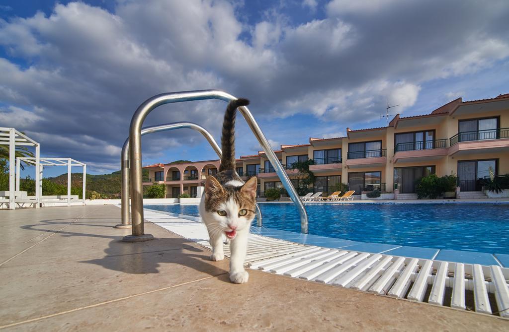Toroni Blue Sea Hotel Exterior photo